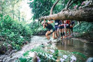 BIB: 
                            <button type="button" onclick="openModal(25445946)" class="btn btn-primary btn-sm float-right btn-popup" data-toggle="modal" data-target=".modal-high-quality">
                        <i class="fas fa-shopping-cart"></i> Add to Cart
                    </button>
                                            <button type="button" onclick="isThisMe(25445946, true)" class="btn btn-success btn-sm float-right btn-popup btn-isme hidden" data-toggle="tooltip" data-placement="bottom" title="นี่คือรูปของคุณใช่ไหม คลิกที่นี่เพื่อเอาเข้าอัลบั้ม">
                        <i class="fas fa-plus"></i> Add to album
                    </button>
                    <button type="button" onclick="isThisMe(25445946, false)" class="btn btn-warning btn-sm float-right btn-popup btn-isnotme hidden">
                        <i class="fas fa-ban"></i> Remove from album
                    </button>